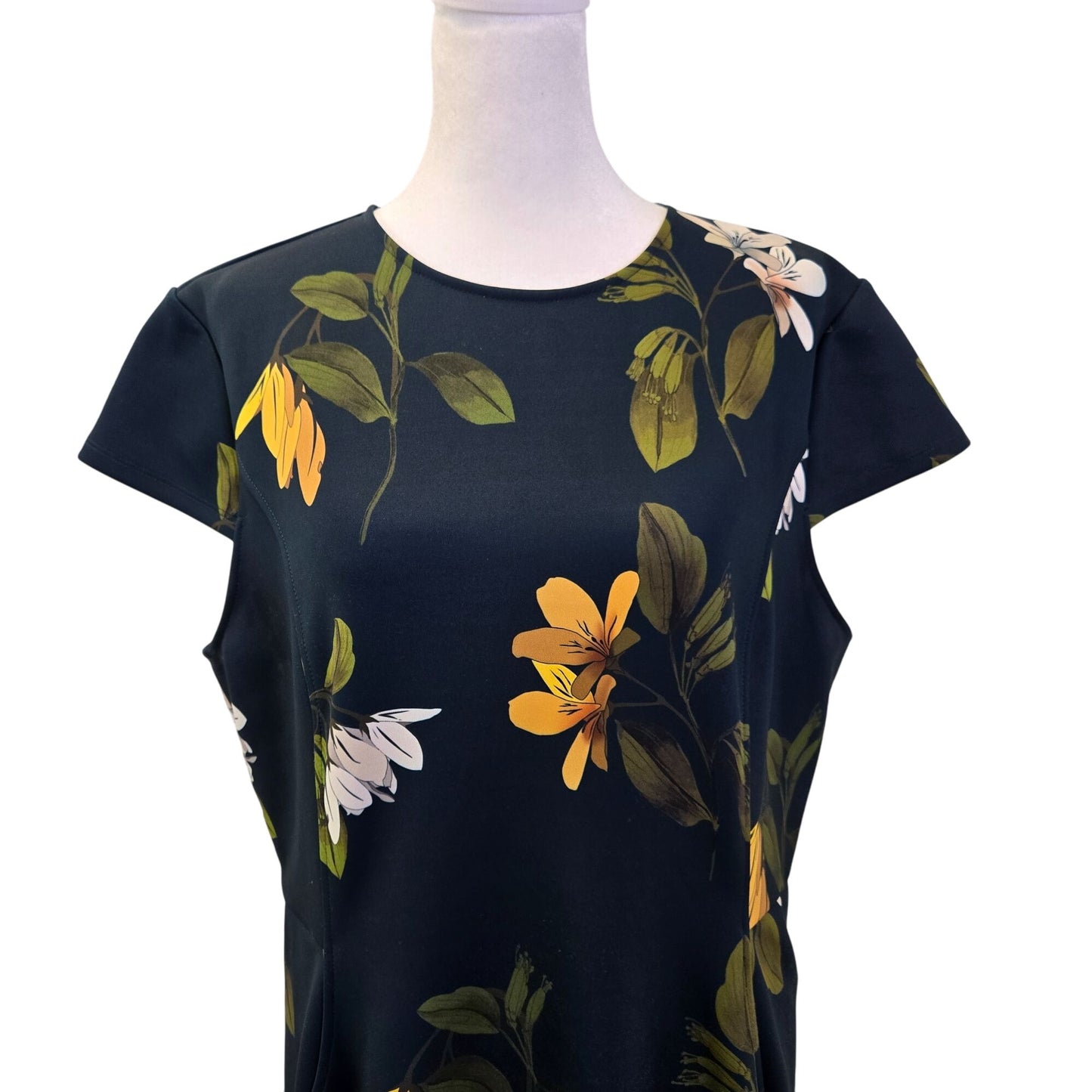 Ted Baker Gallah Floral Cap Sleeve Fit & Flare Skater Dress Size TB 5/US XL