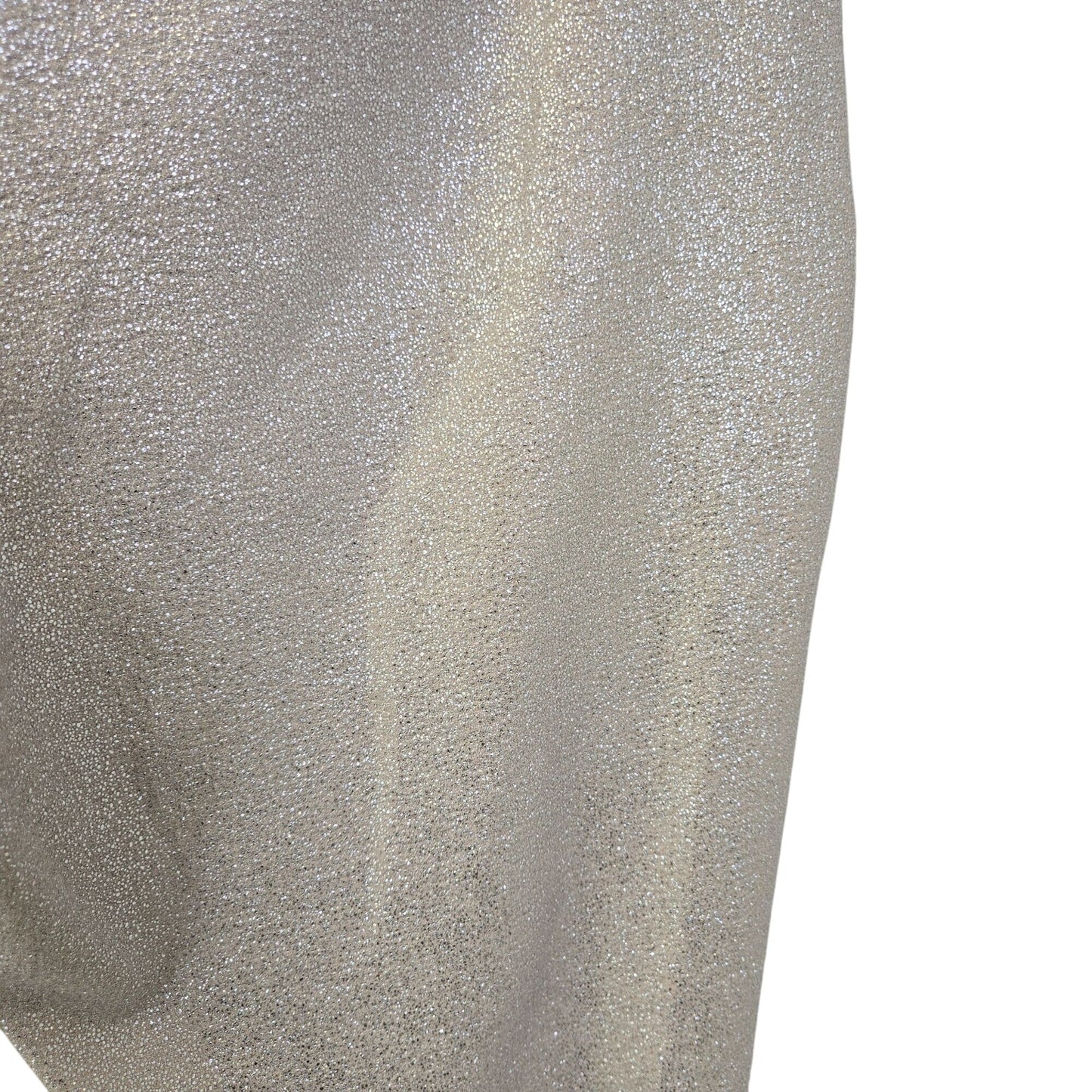 NWT INC International Concepts Glam Refresh Straight Leg Glitter Pants Size 2