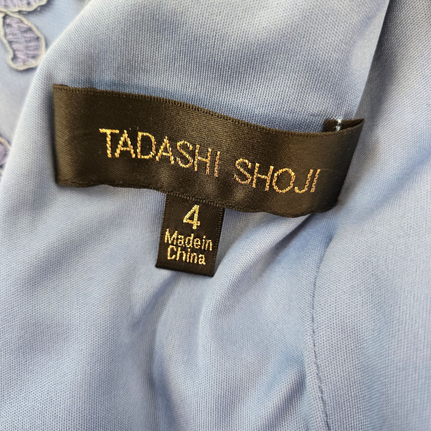 Tadashi Shoji Embroidered Lace Special Occasion Dress Size 4