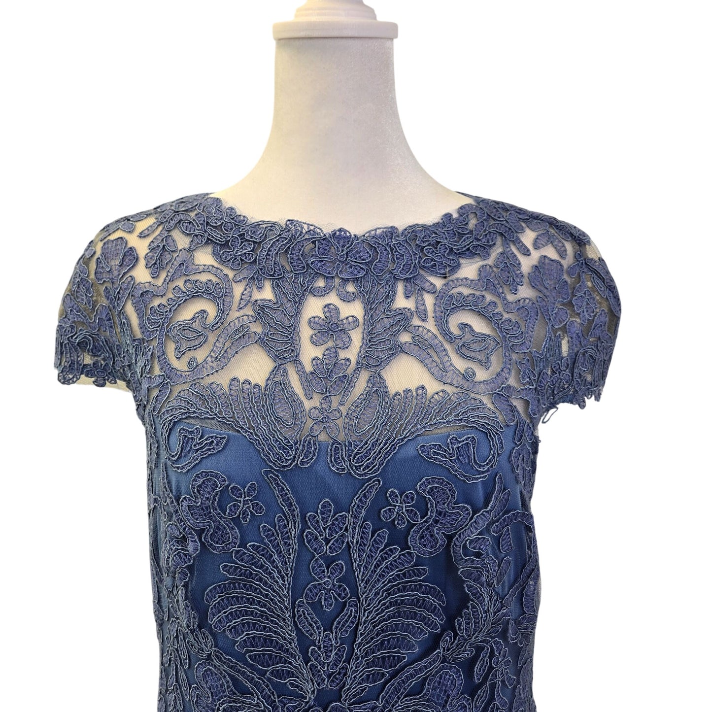 Tadashi Shoji Embroidered Lace Special Occasion Dress Size 4
