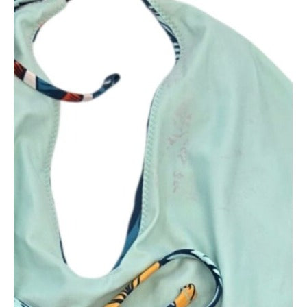 Speedo Aria Plunge Tropical Print One Piece Swimsuit Size Large