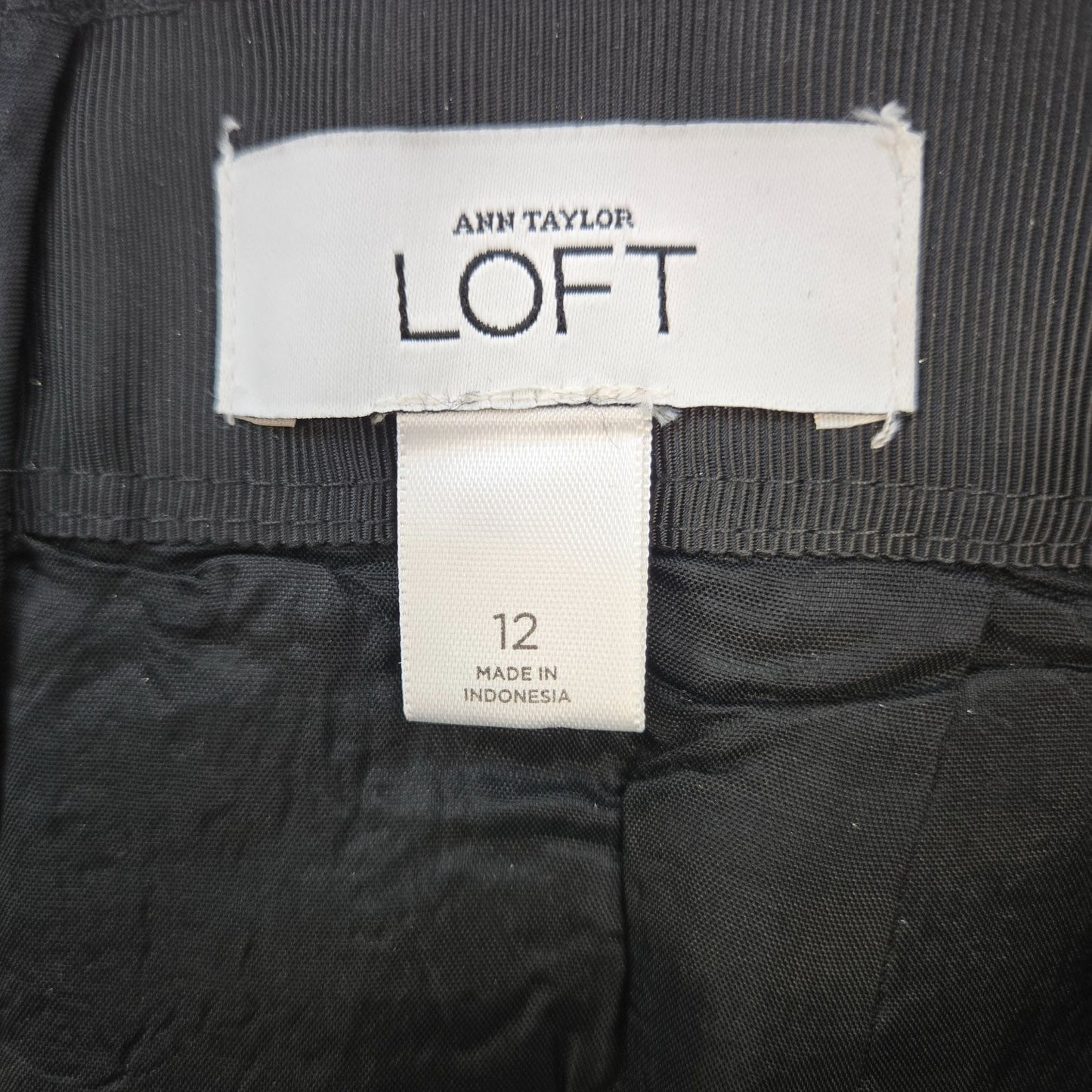 Ann Taylor Loft Gold Metallic Organza Overlay A-Line Skirt Size 12