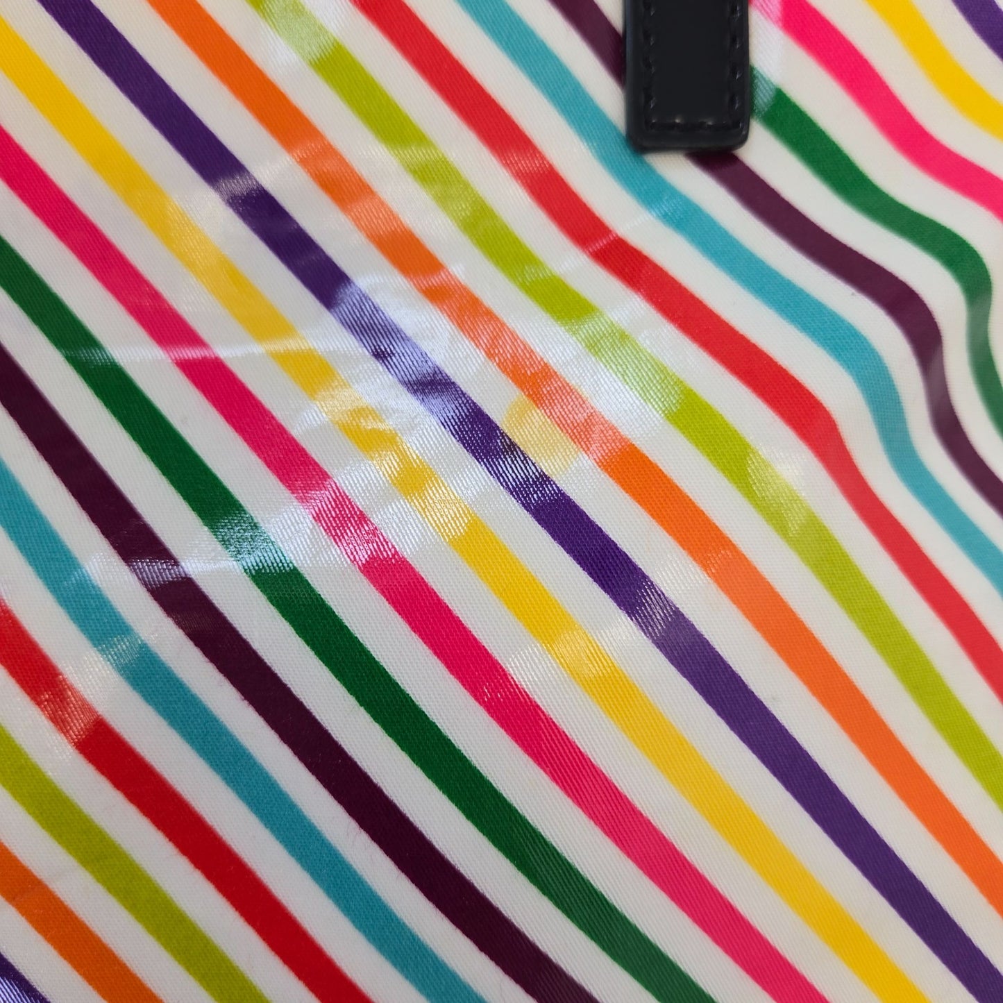 Kate Spade Rainbow Tote Bag