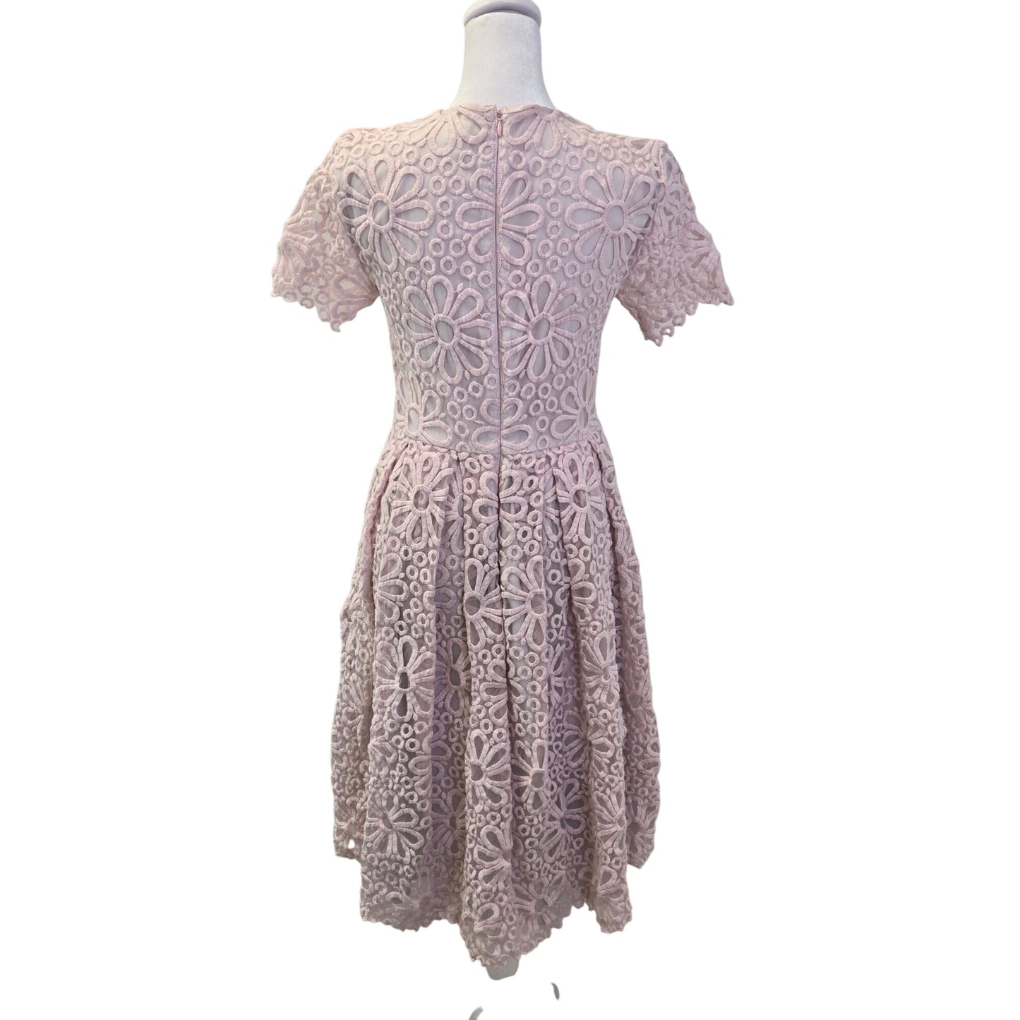 Rachel Parcell Provence Lace Floral Fit & Flare Dress Size Medium