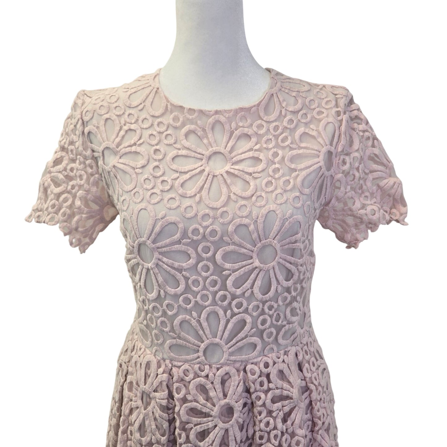 Rachel Parcell Provence Lace Floral Fit & Flare Dress Size Medium