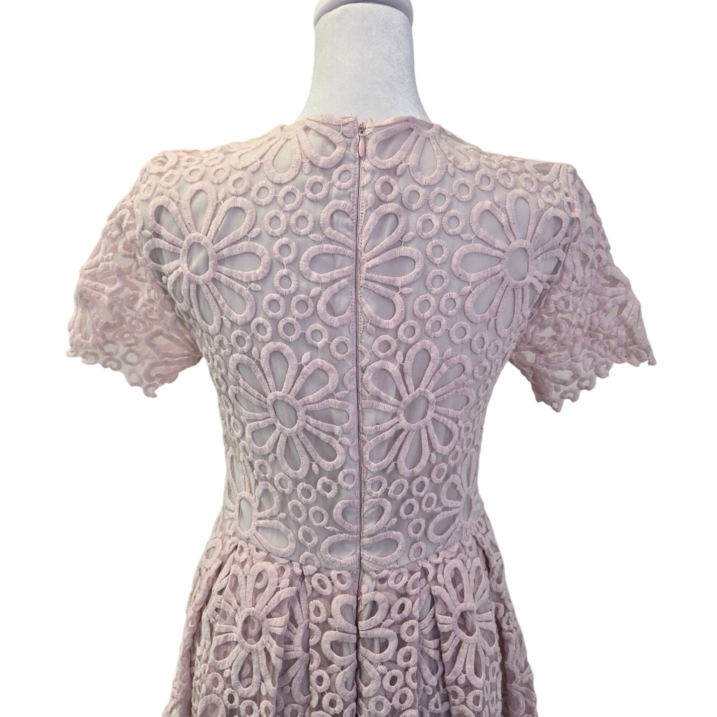 Rachel Parcell Provence Lace Floral Fit & Flare Dress Size Medium