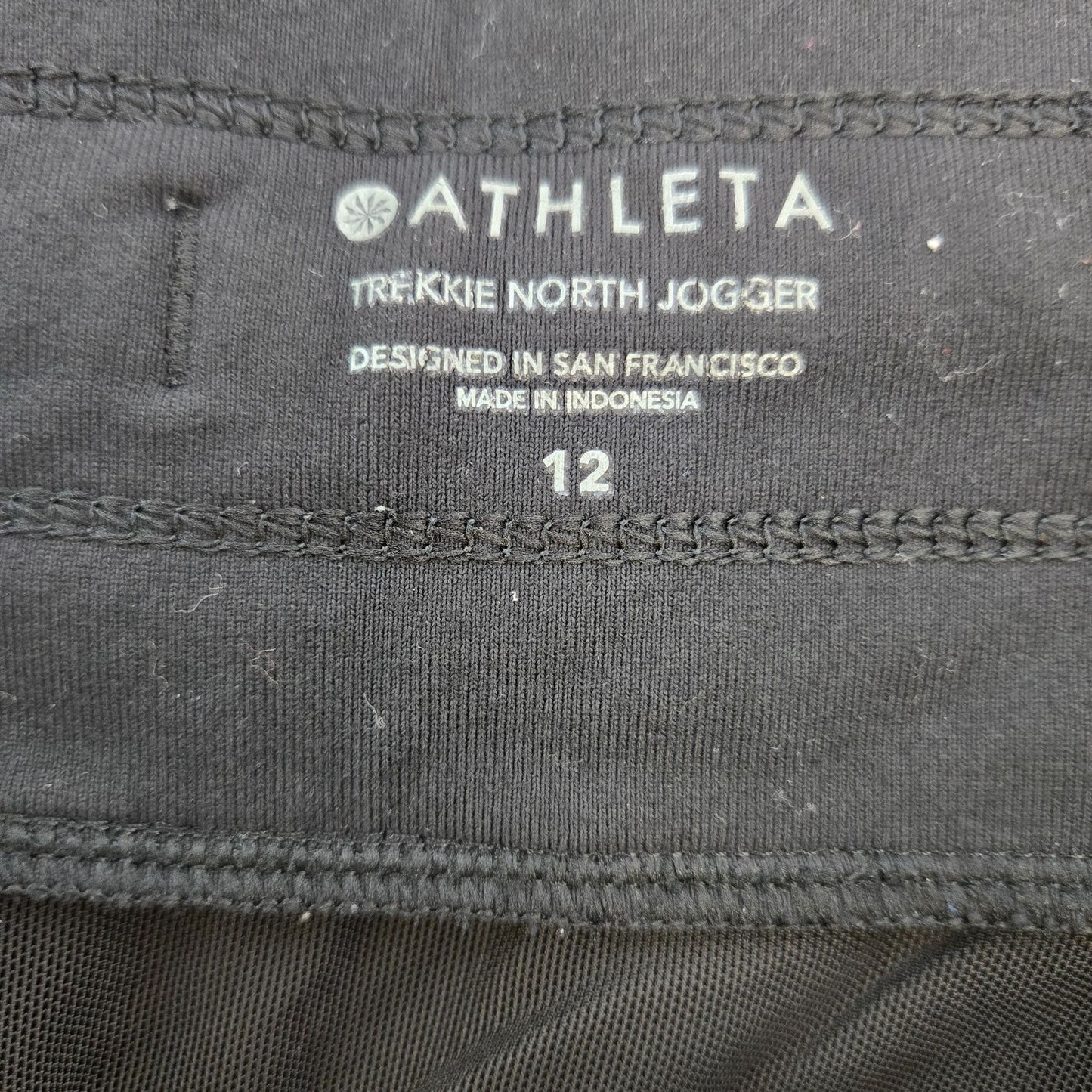 Athleta Trekkie North Jogger Pants Size 12
