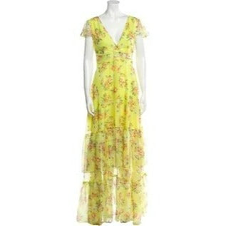 NWT Eywasouls Malibu Kimi Chiffon Floral Maxi Dress Size XS